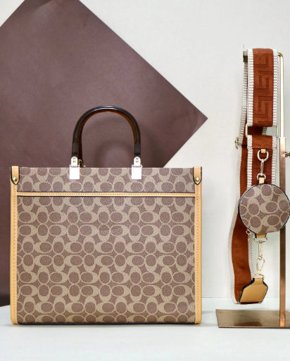 RA-30 TOTE CAREY Monogram