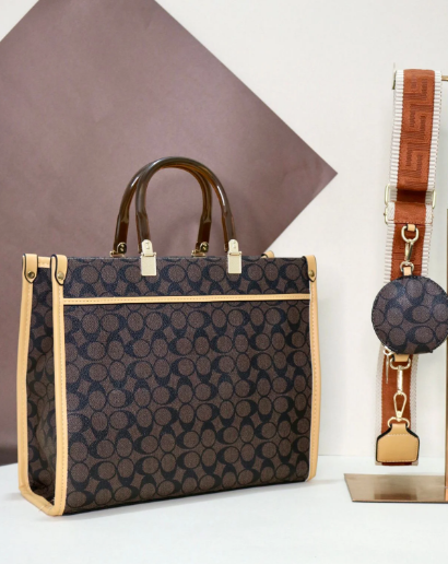 RA-30 TOTE CAREY Monogram