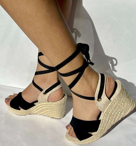 PLATAFORMAS ZILA